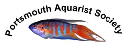 Portsmouth Aquarist Society Logo